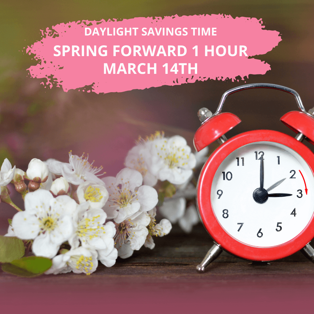 Daylight Savings Time