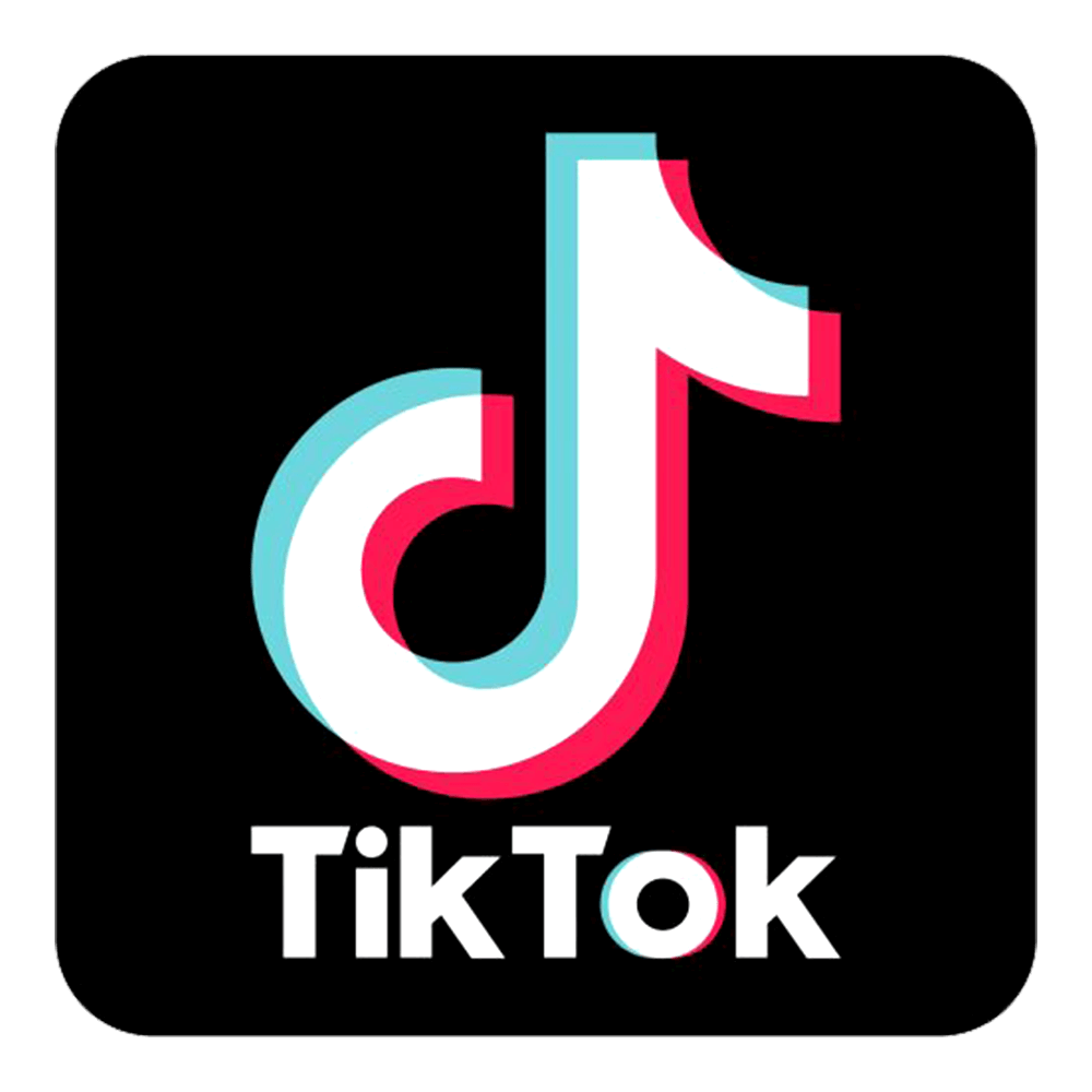 tiktok logo image