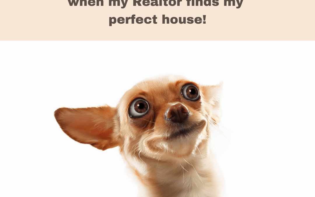 September 12th – My face