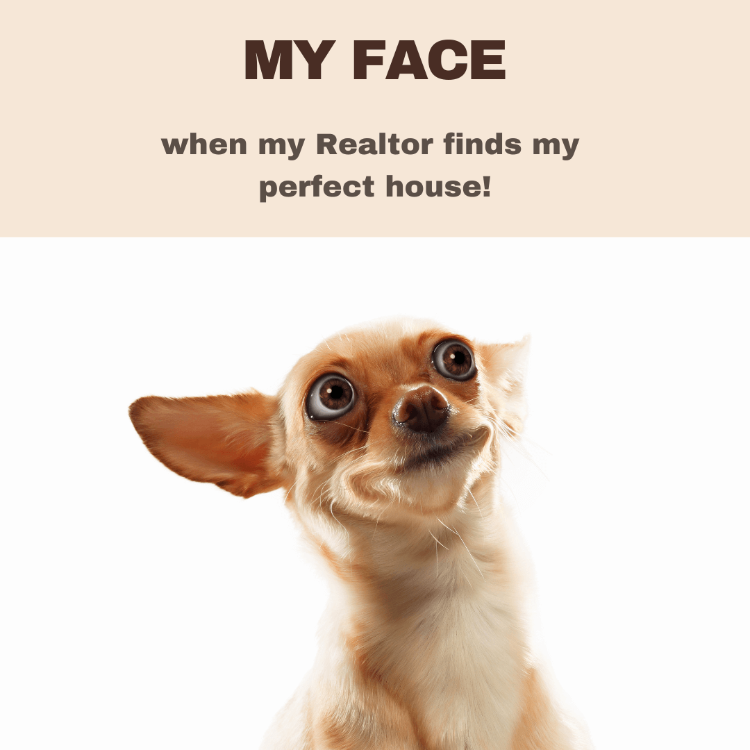 September 12th – My face