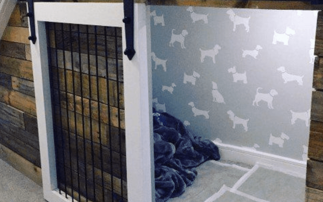 Nov. 20th –  Question Post