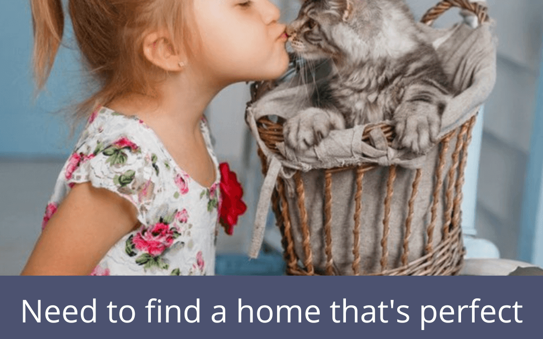 Oct. 22nd – Find a home that’s perfect
