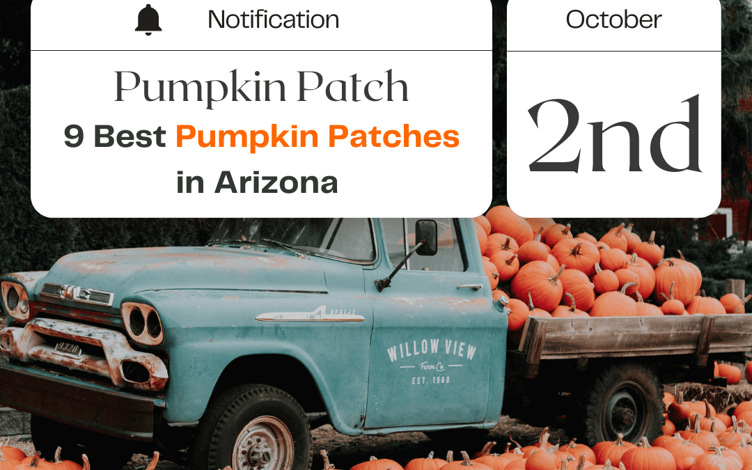 Oct. 2nd – 9 Best Pumpkin Patches in Arizona!