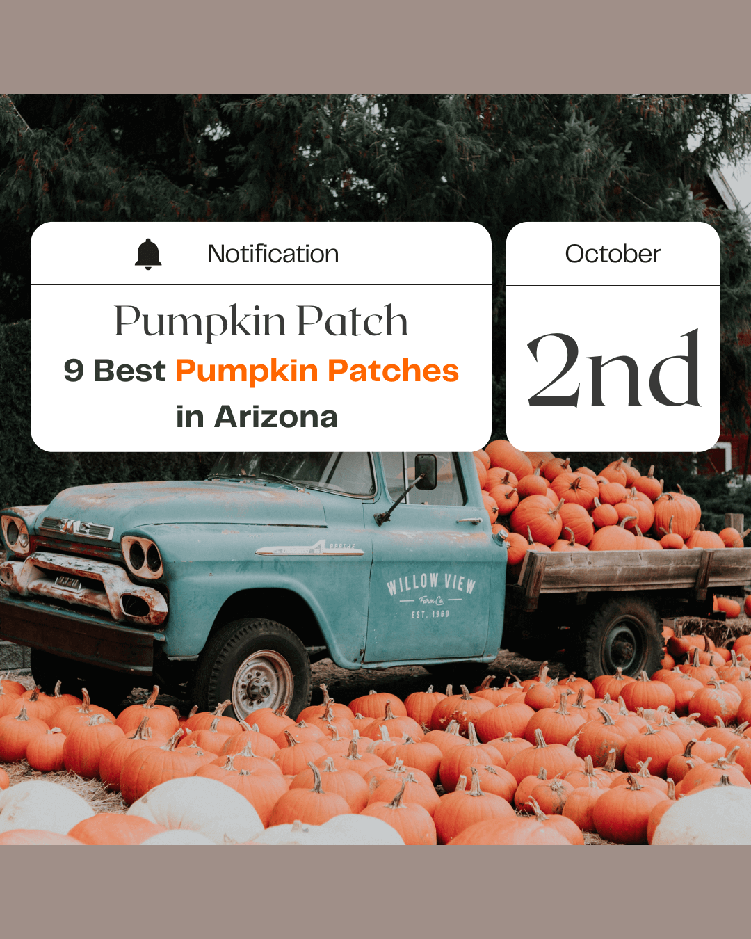 Oct. 2nd – 9 Best Pumpkin Patches in Arizona!