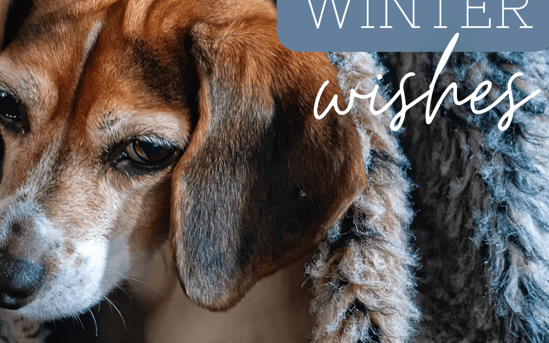 Dec. 12th Monday Motivation