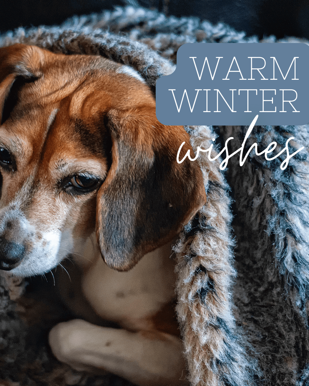 Dec. 12th Monday Motivation