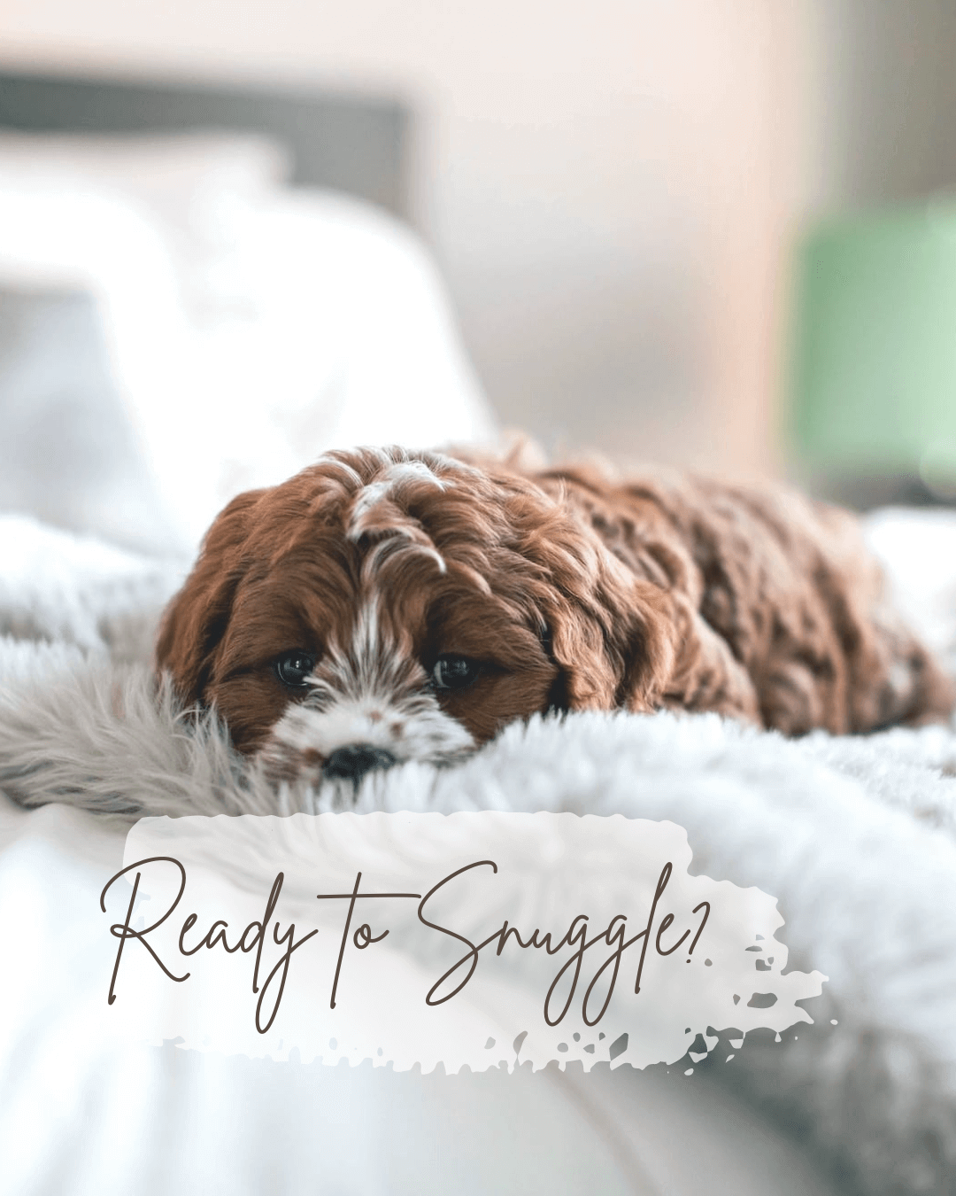 Dec. 16th -Ready to snuggle?