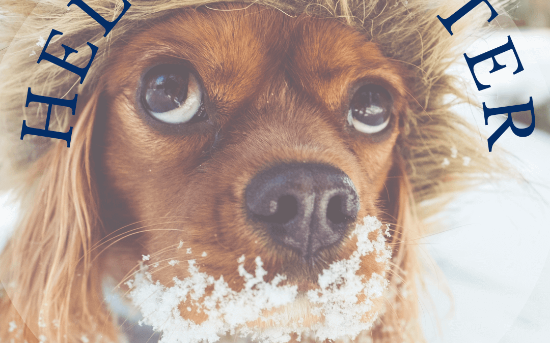 Dec. 21st Hello Winter – 1st Day of Winter