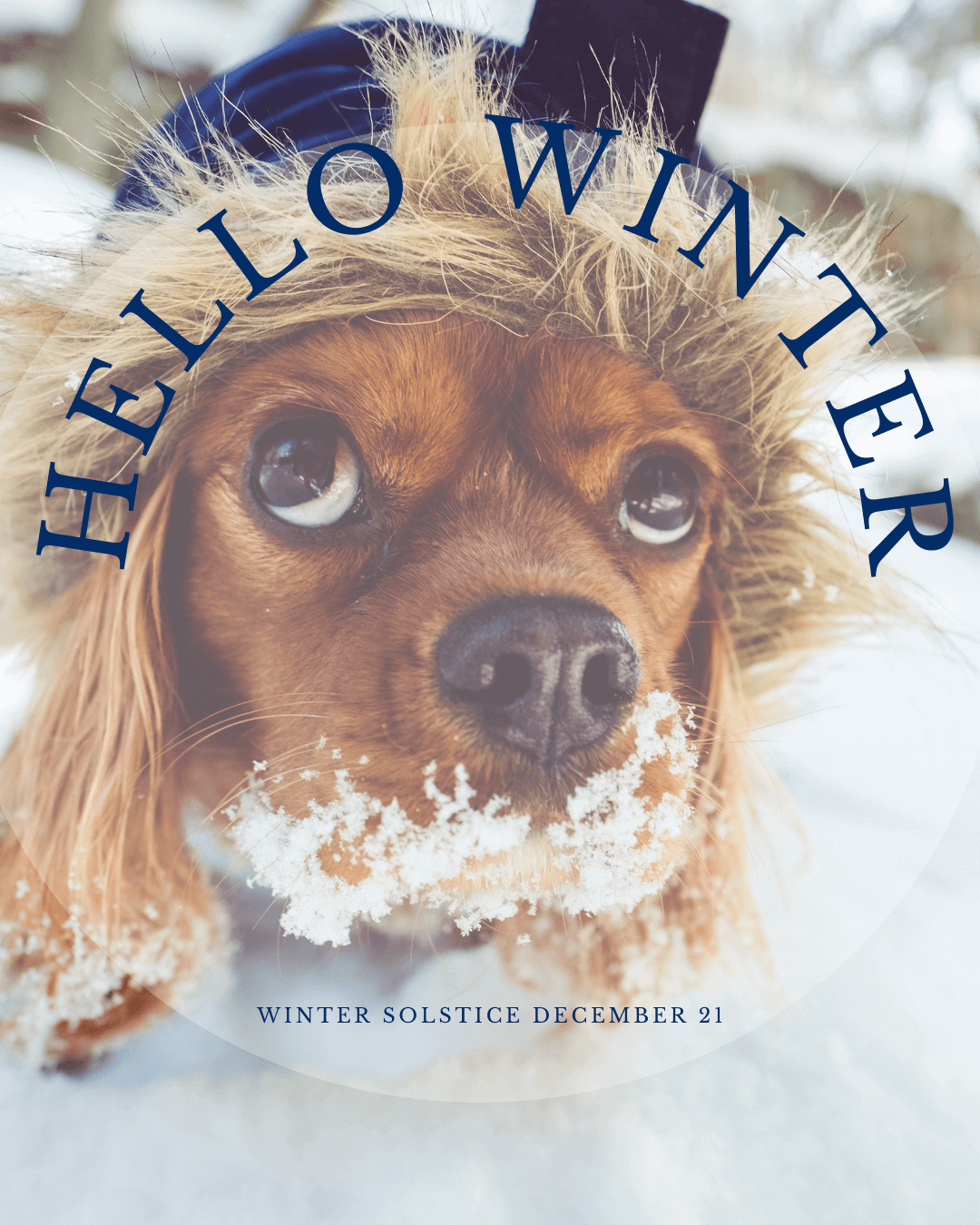 Dec. 21st Hello Winter – 1st Day of Winter