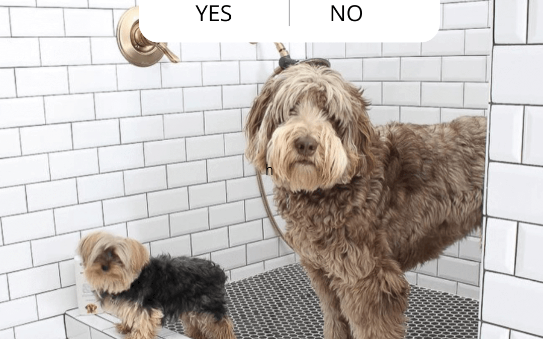 Dec. 28th Question post