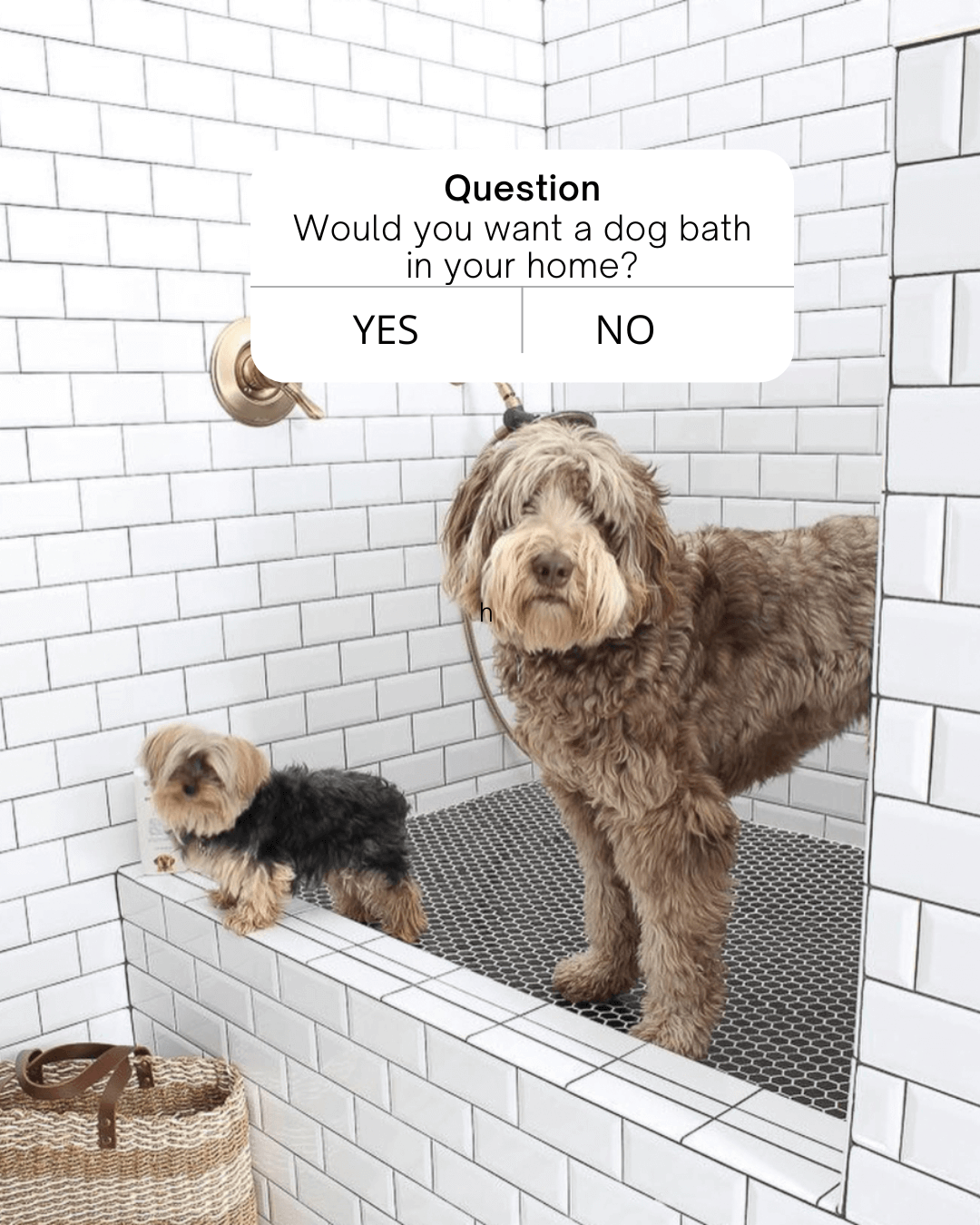 Dec. 28th Question post