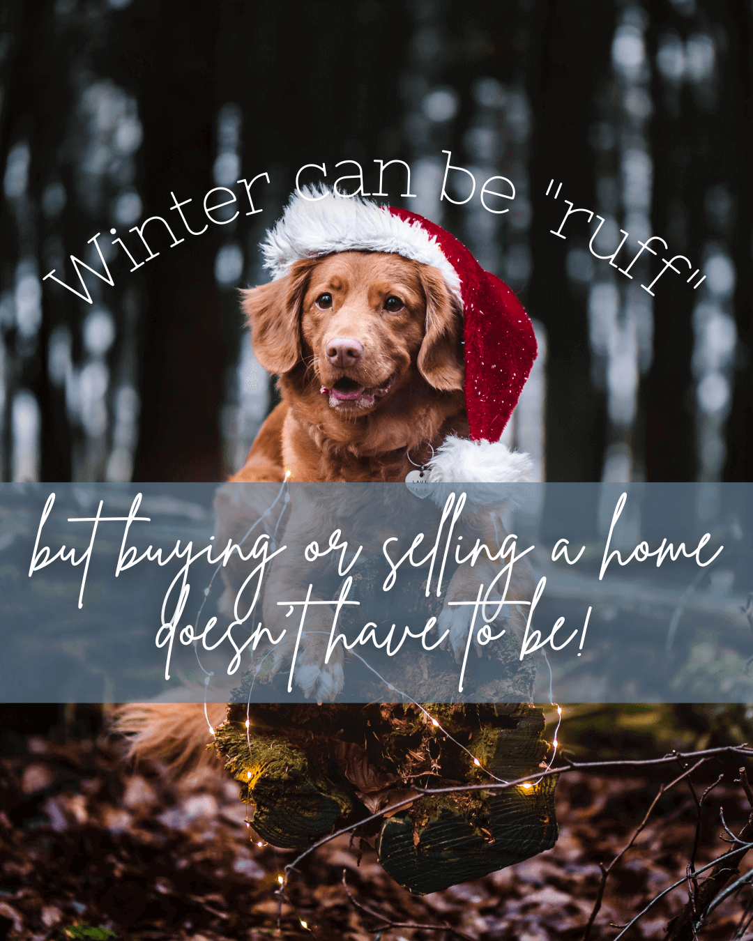 Dec. 4th Winter can be ruff