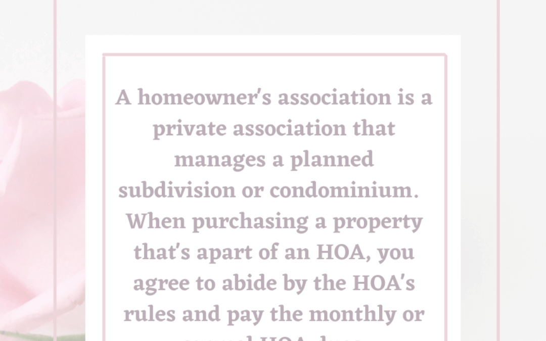 Feb. 19th – What is an HOA?