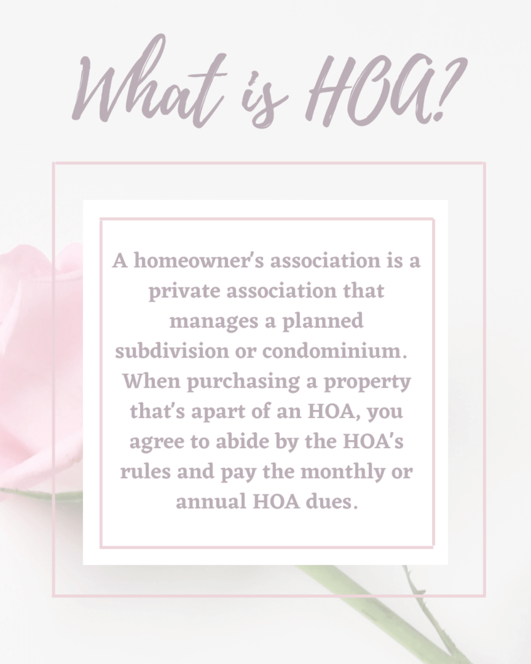 Feb. 19th – What is an HOA?