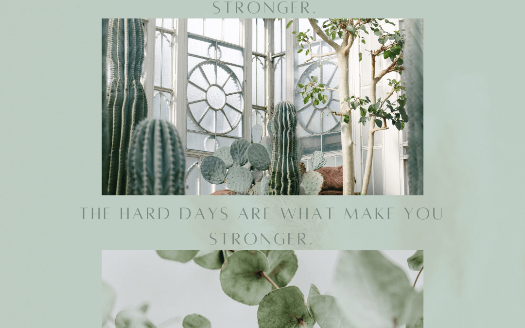 Feb. 13th-Monday Motivational