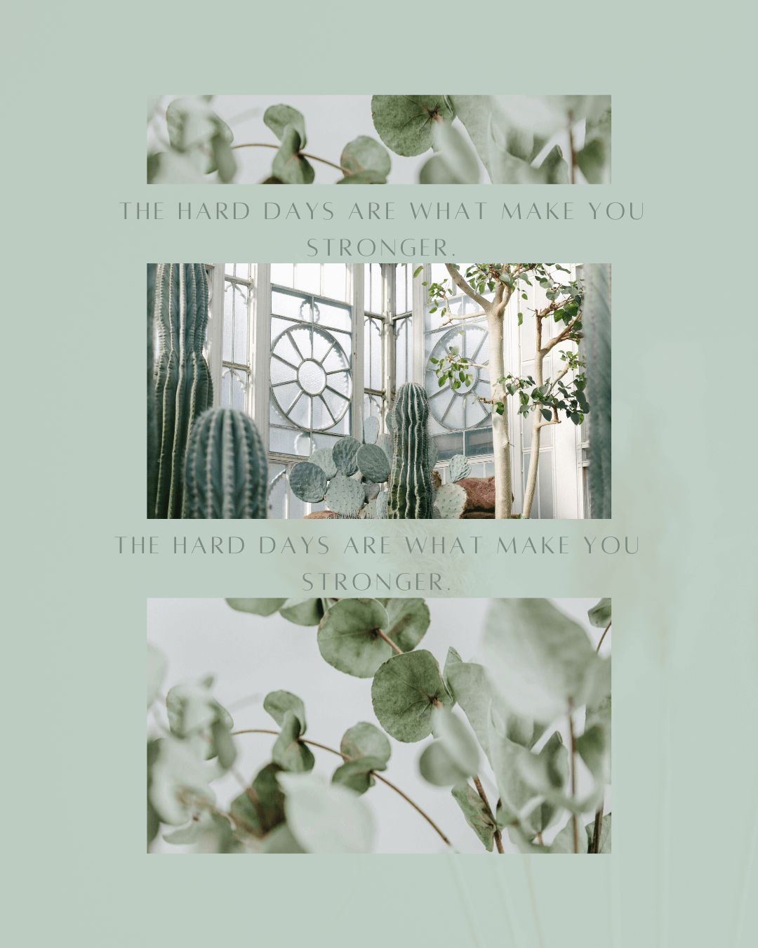 Feb. 13th-Monday Motivational