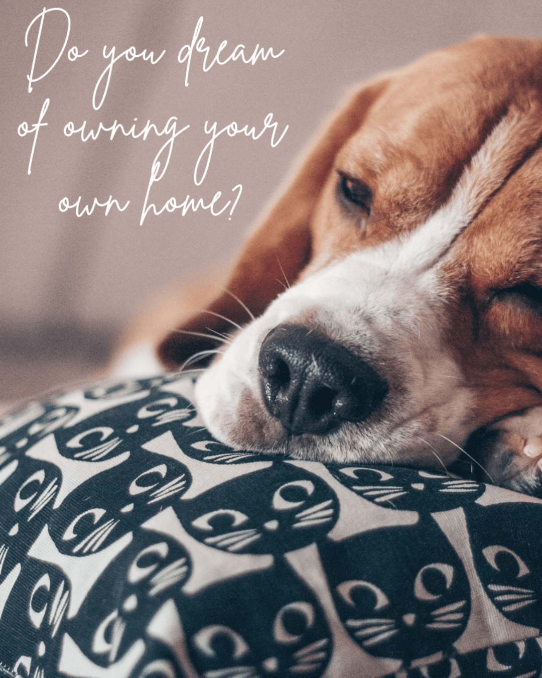 March 31st – dreaming?