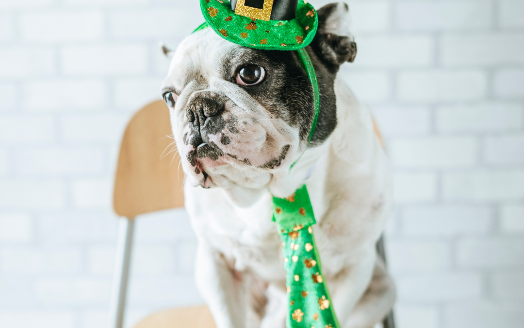 March 17th – St. Patrick’s Day