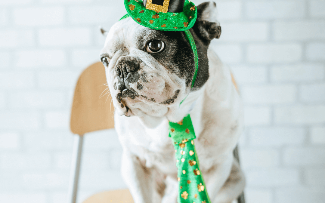 March 17th – St. Patrick’s day