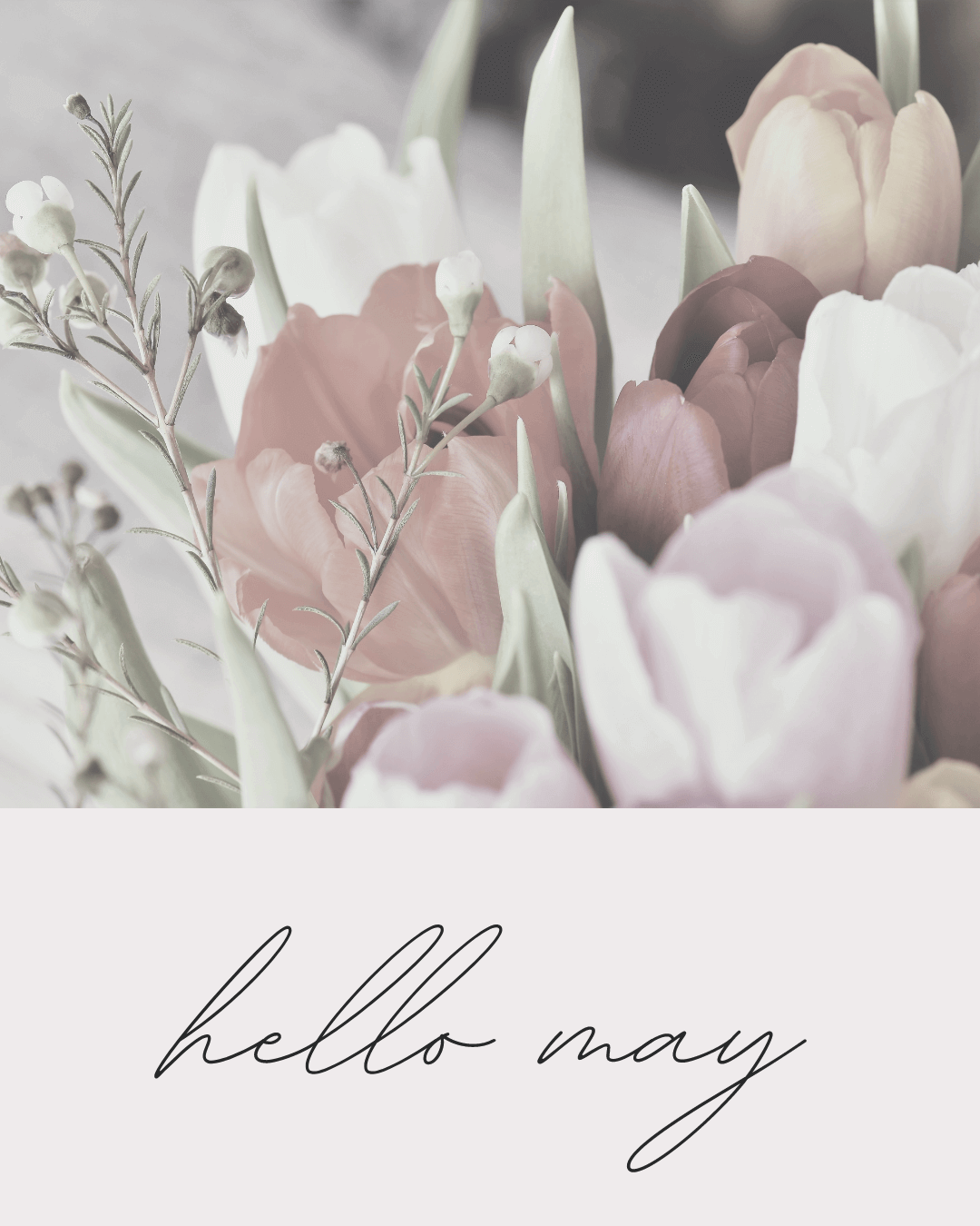 May 1st Hello May Social Posts