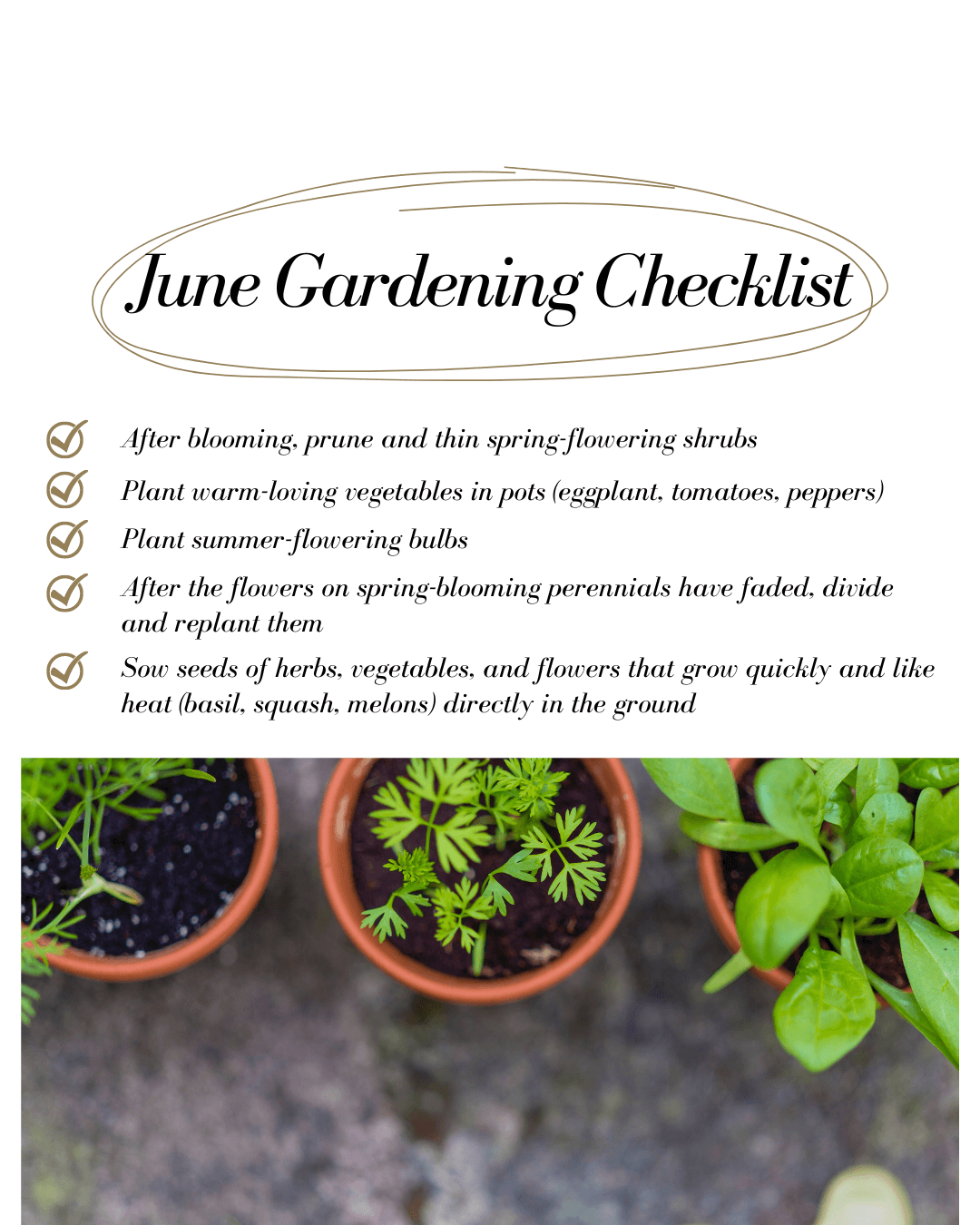 June 13th – Gardening Checklist