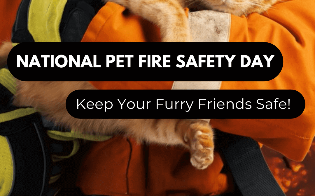 July 15th – National Pet Fire Safety Day