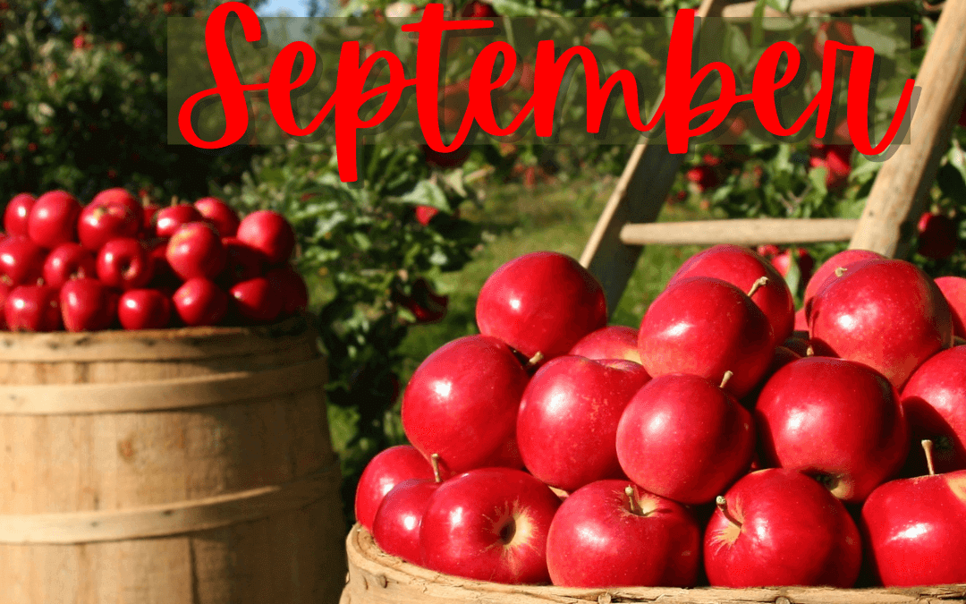 September 1st – Welcome Sept