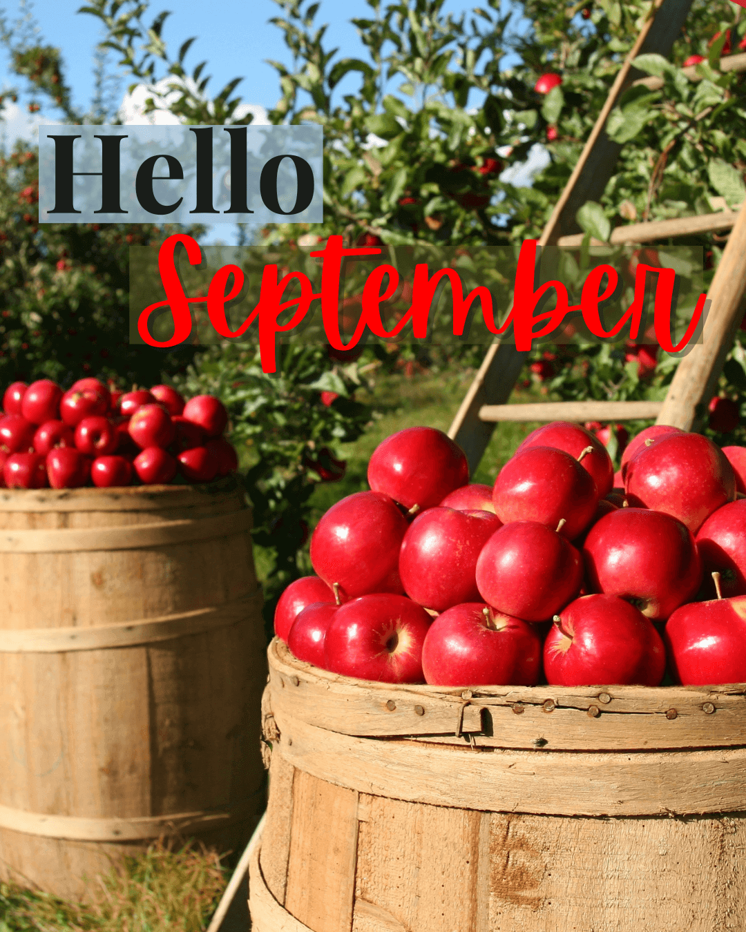 September 1st – Welcome Sept