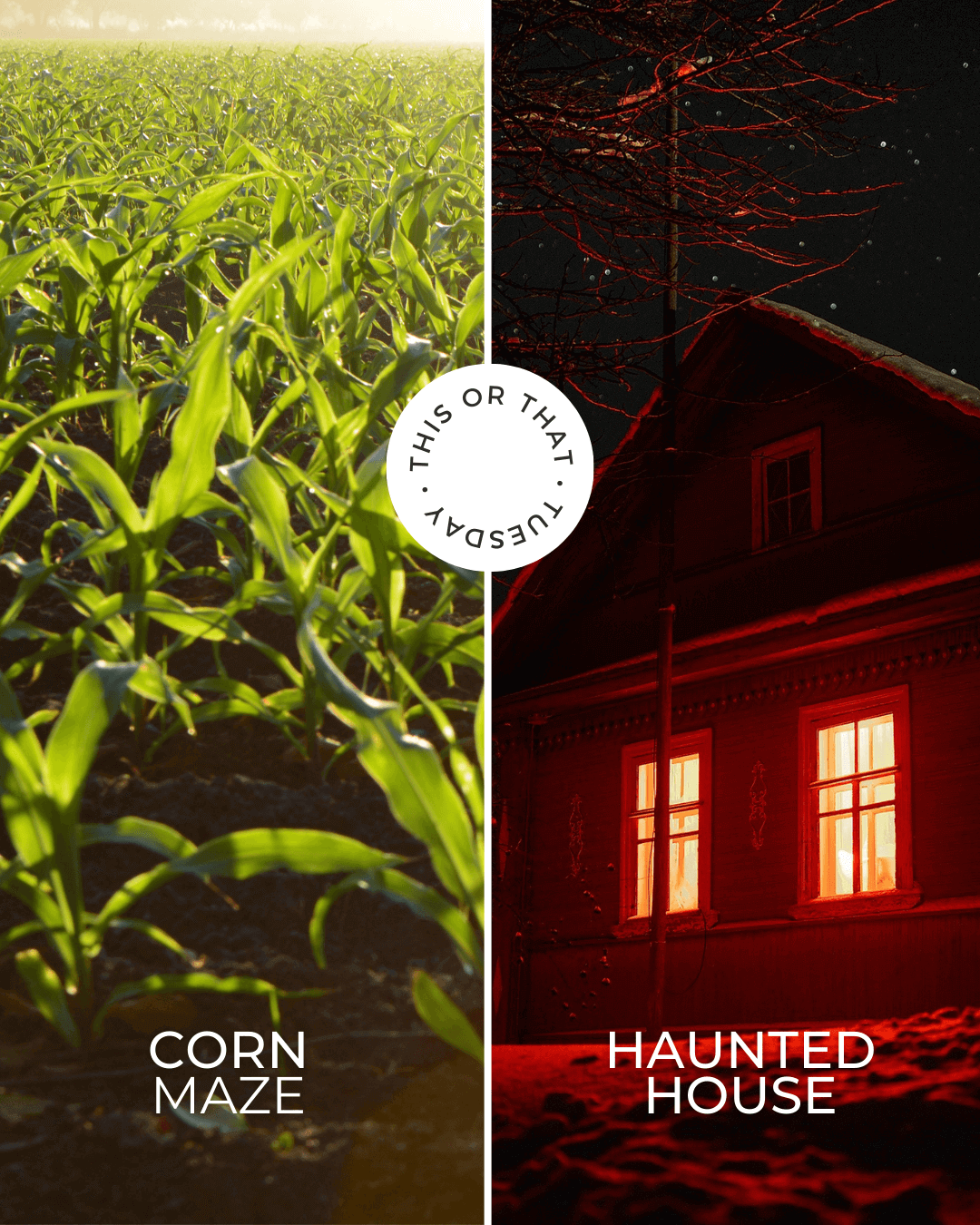 Oct. 27th – This or That