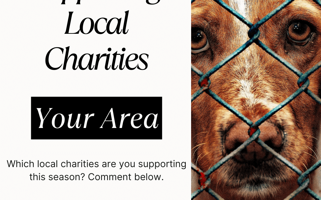 November – Sport Local Charities