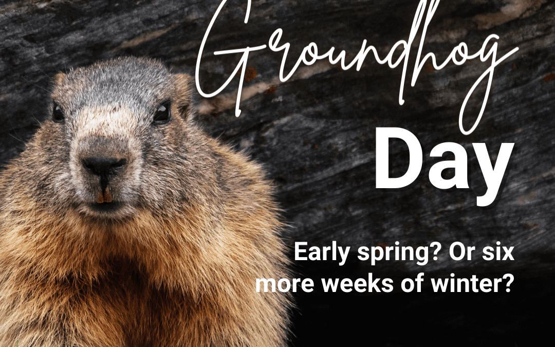 Feb. 2nd – Groundhog Day