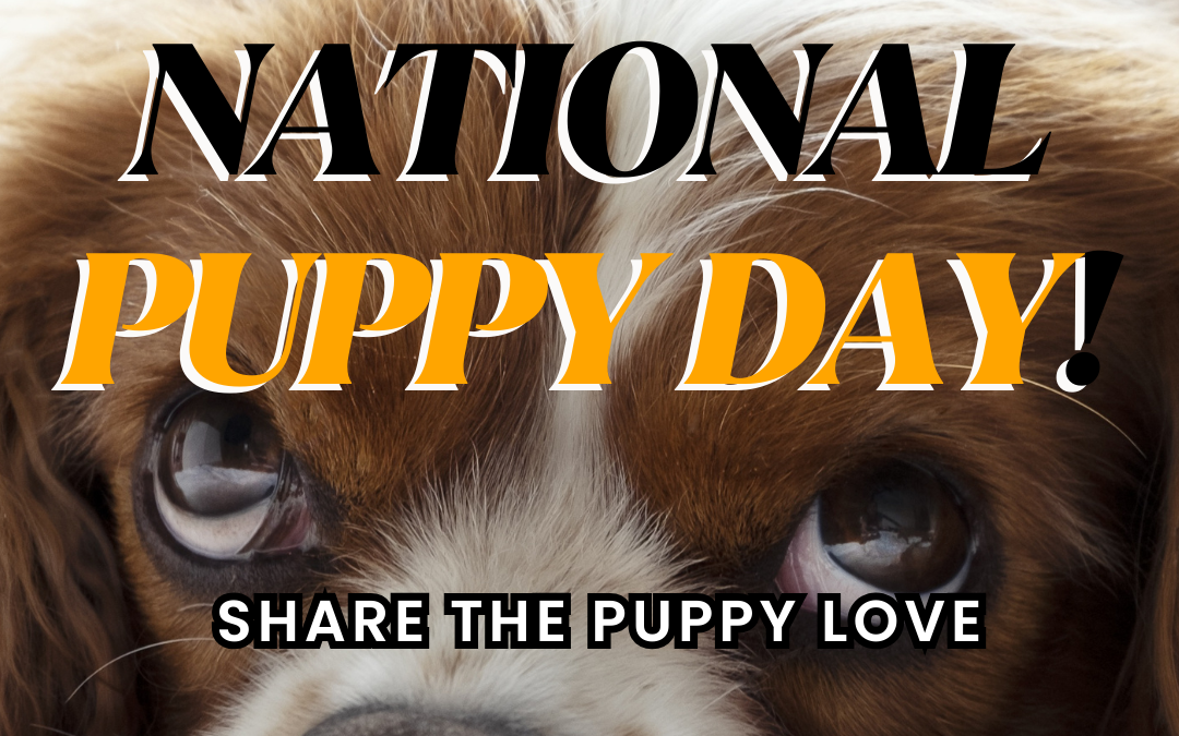 March 23rd – National Puppy Day