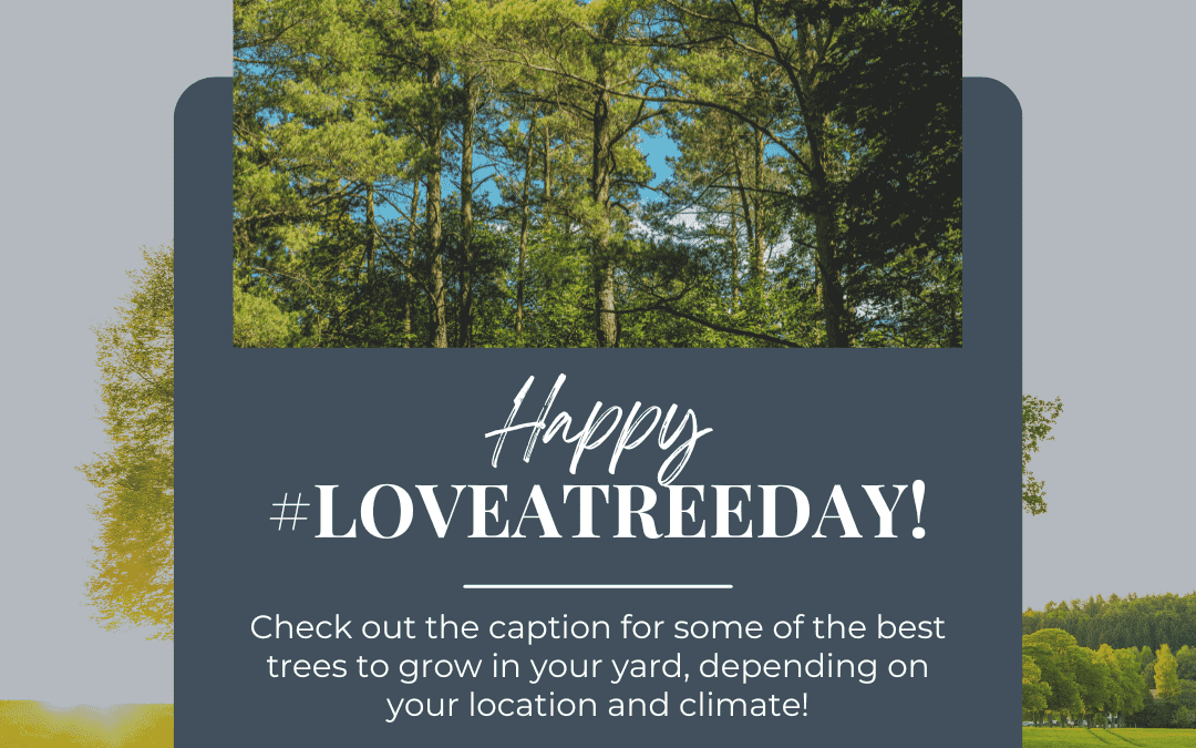 May 16th – Love a tree day