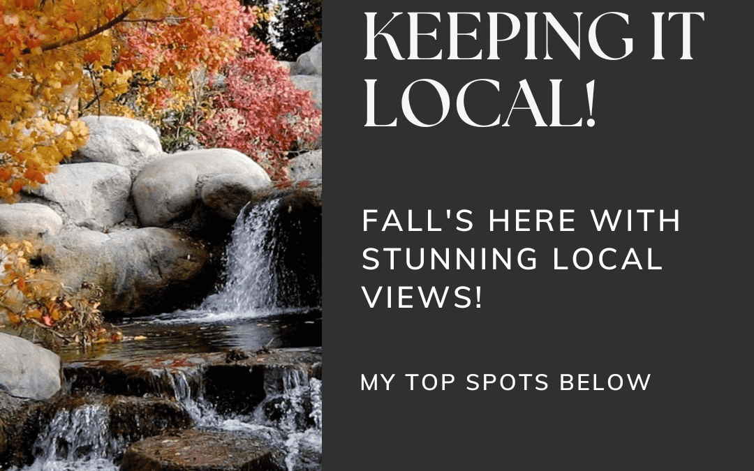 September – Keeping it Local