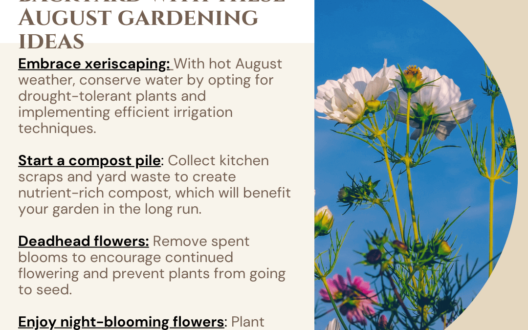 August 24th – Backyard Gardening