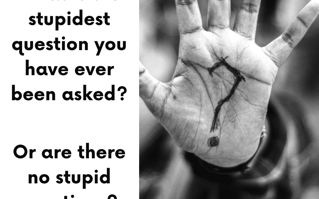 September 28th – Ask a Stupid Question Day