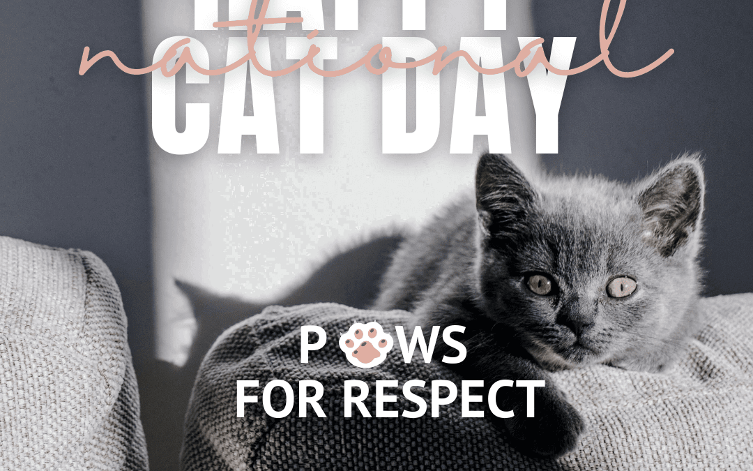 October 29th – National Cat Day