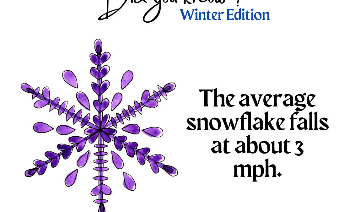 Dec. 29th – Did you know?