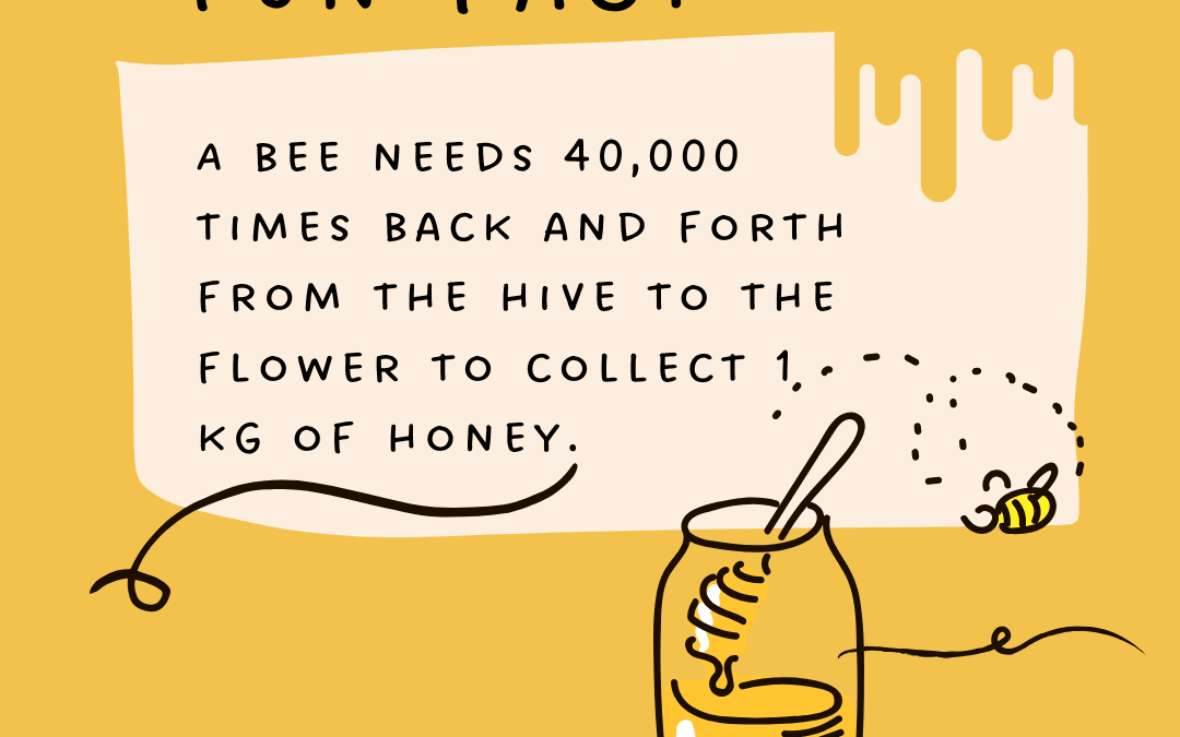 Jan. 15th – Fun Fact