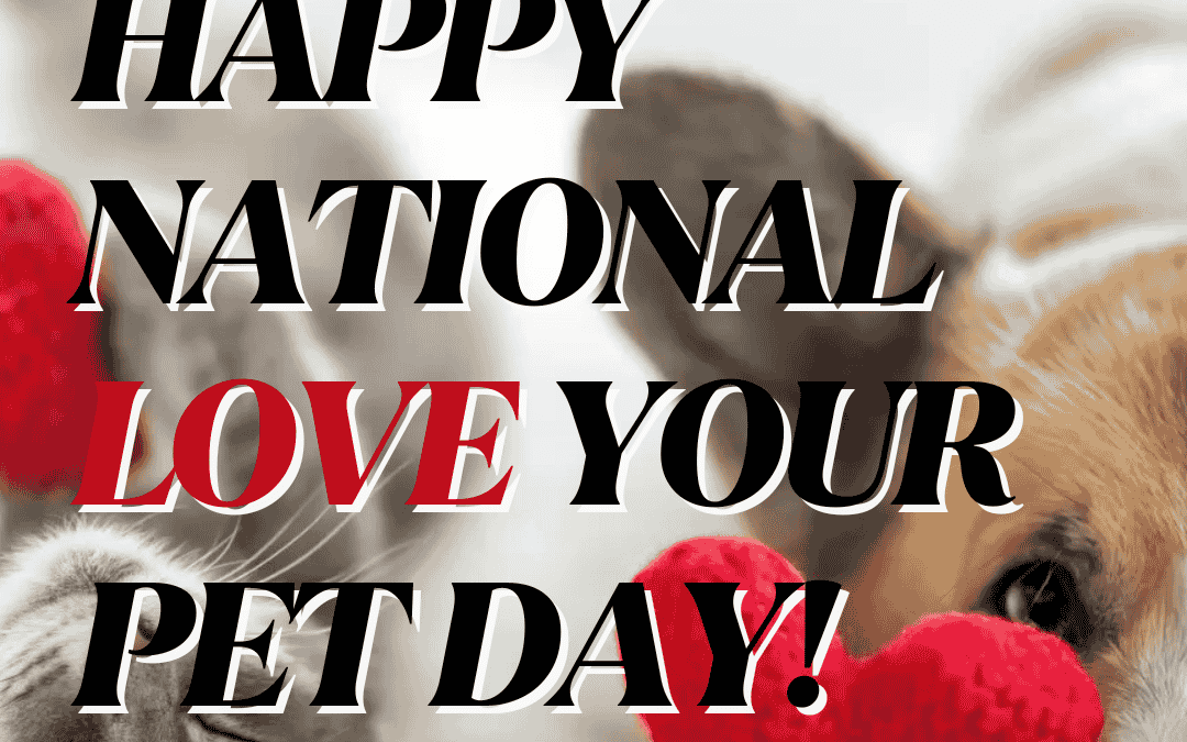 Feb. 20th – National Love Your Pet Day