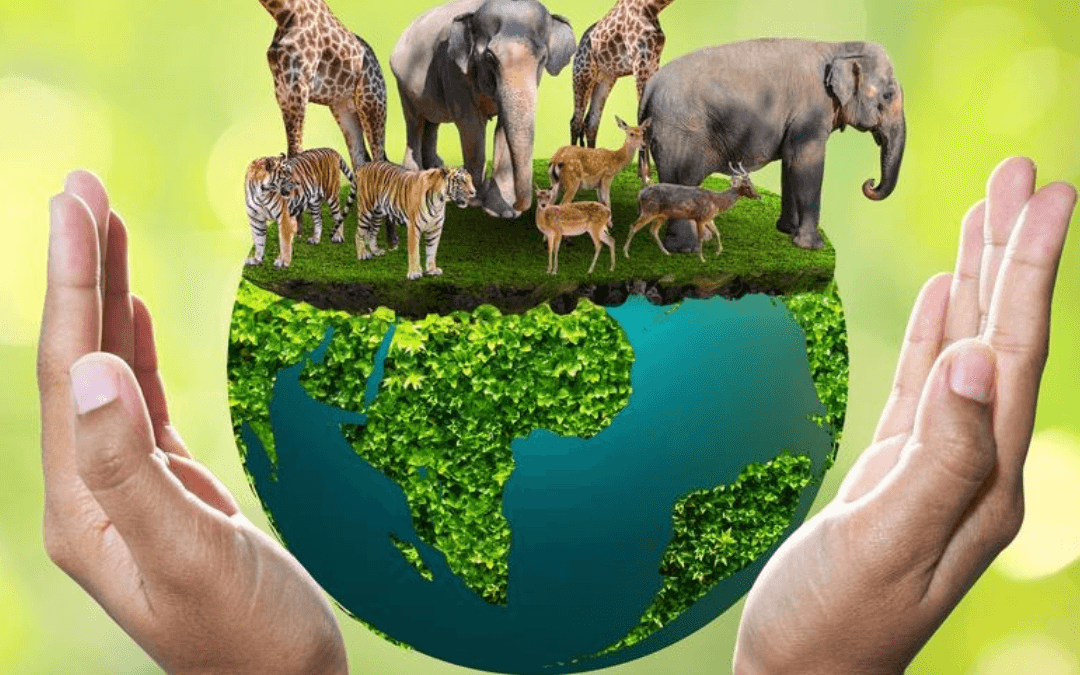 March 3rd is World Wildlife Day