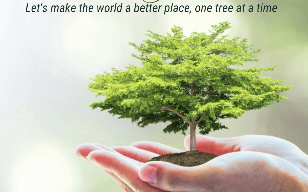 April 25th – Arbor Day