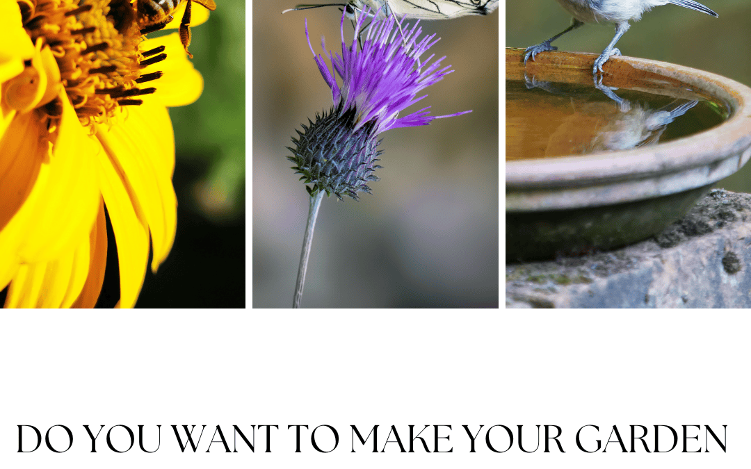 June 4th – Paradise for Pollinators