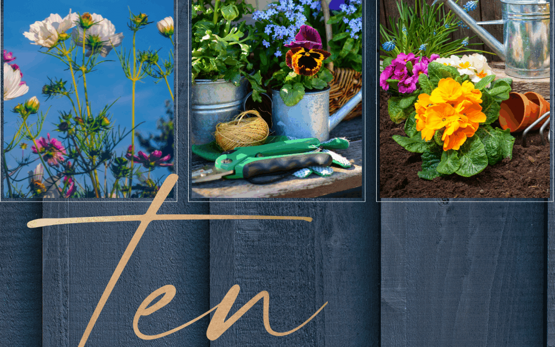 May 12th – Boost Curb Appeal