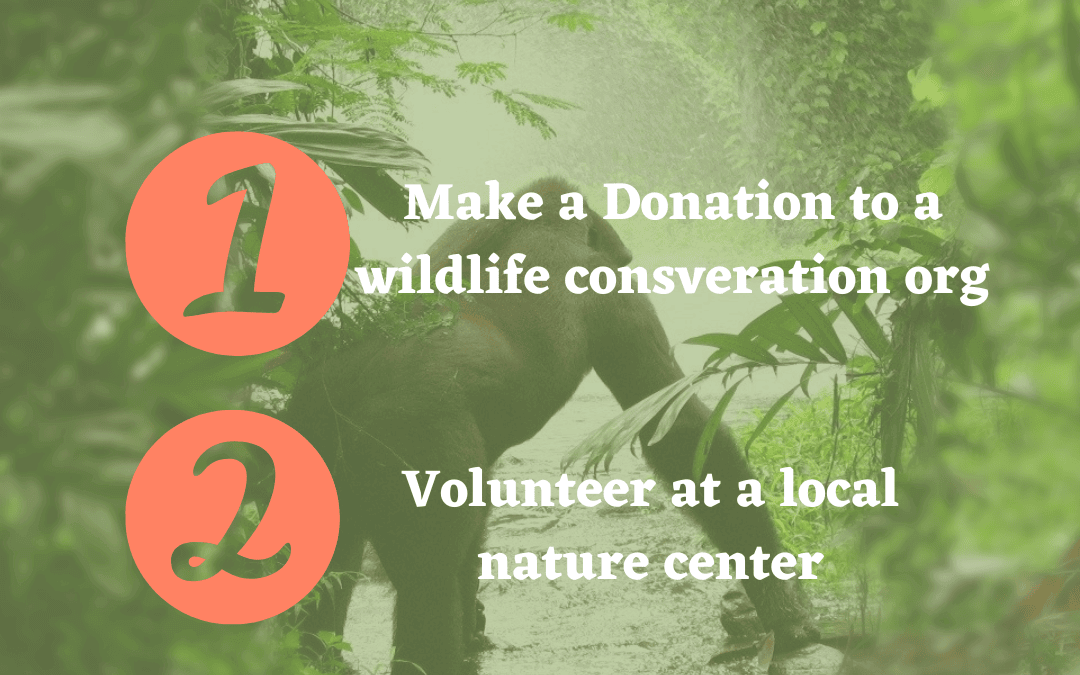 May 16th – World endangered species day