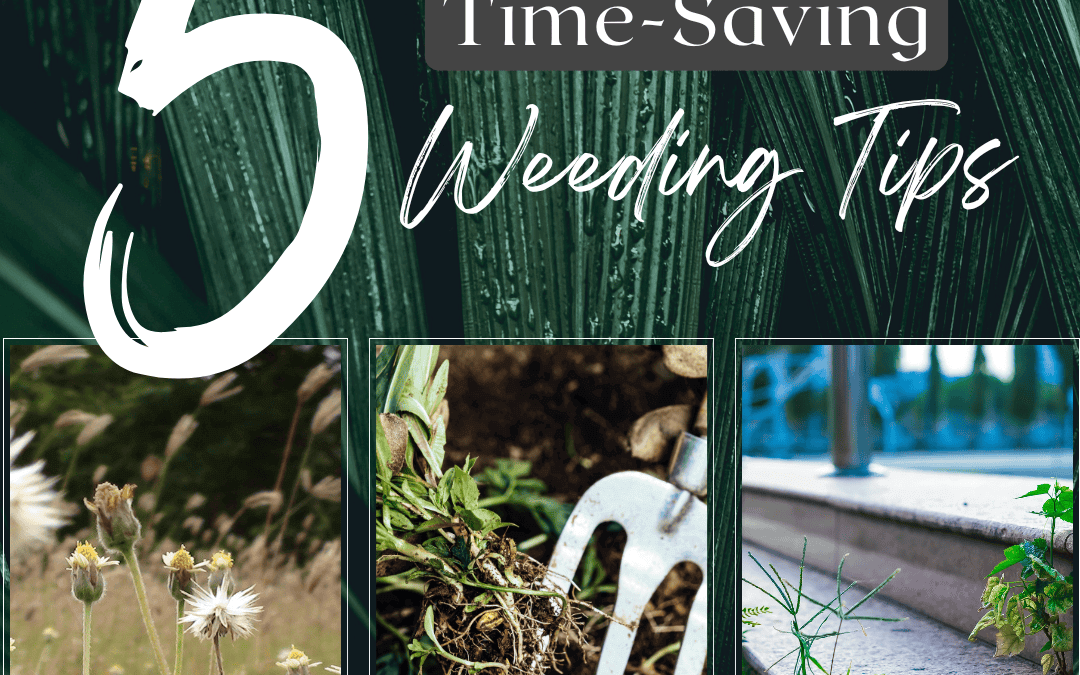 May 24th – Time – Saving Tips