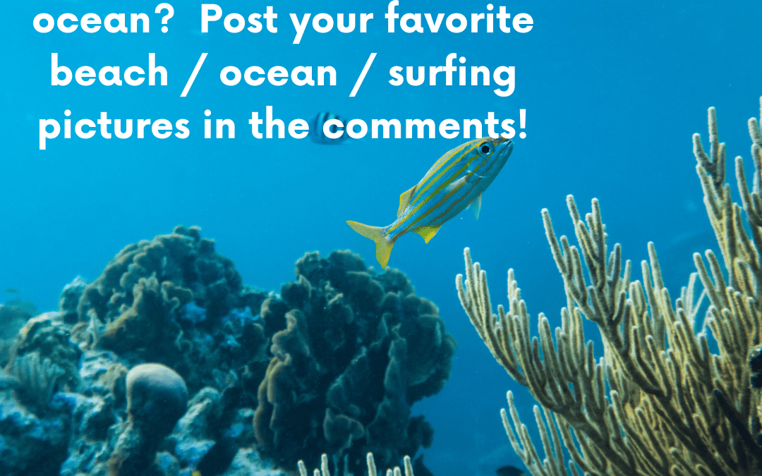 June 8th – World Oceans Day