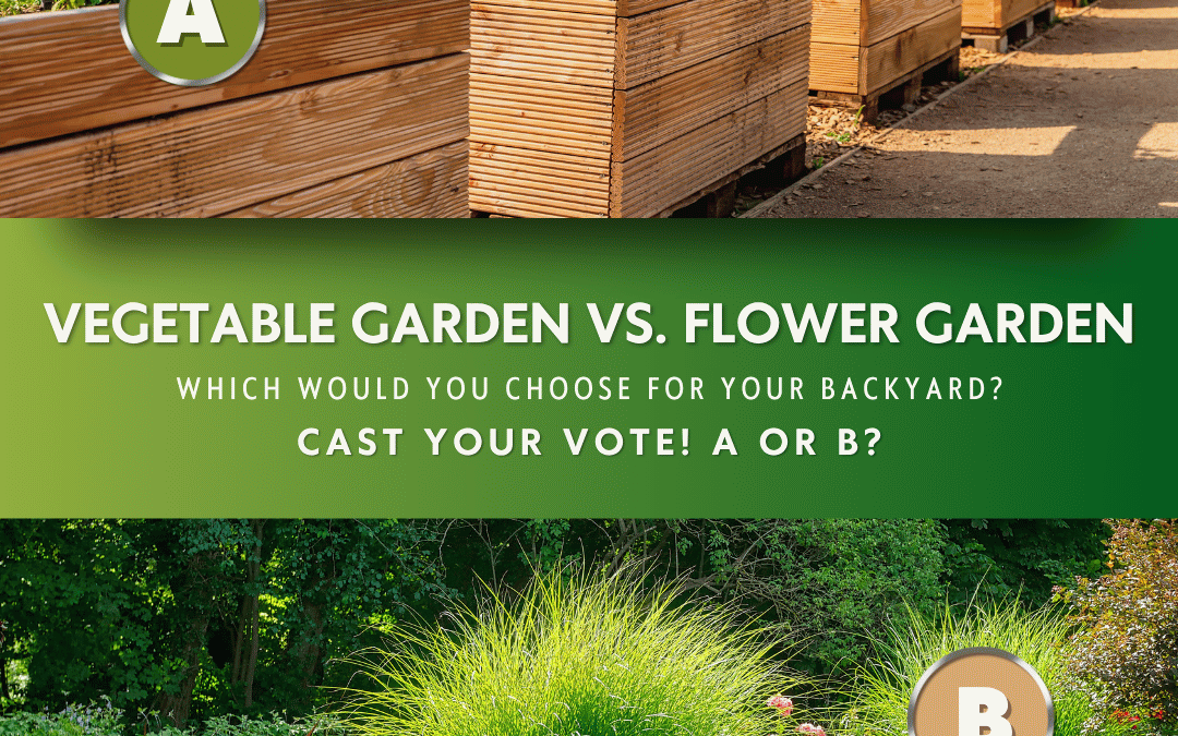 July 27th – Cast Your Vote