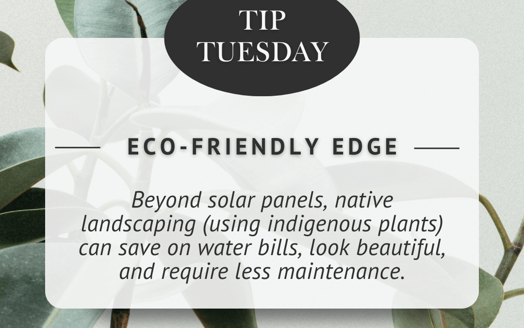 October 21st – Tip Tuesday: Going Green