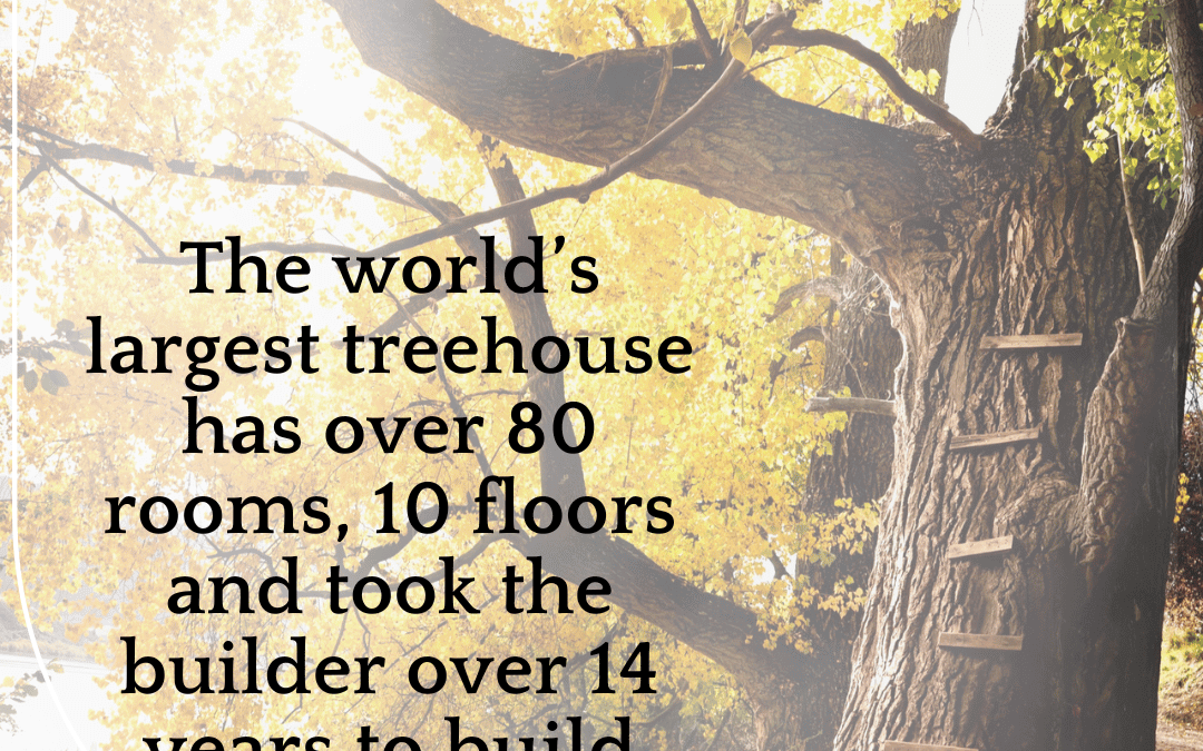 September 10th – Did you know?